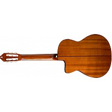 Washburn C5CE 3