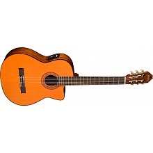 Washburn C5CE