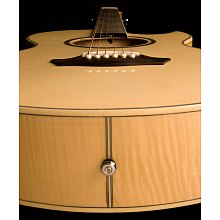 Электроакустическая гитара Washburn EA20 2 Электроакустическая гитара Washburn EA20 2