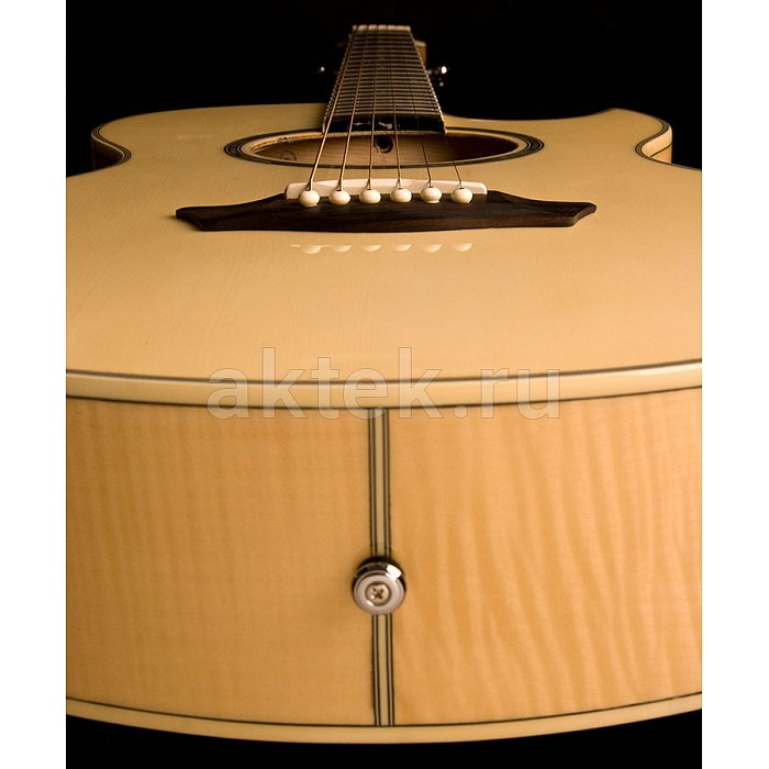 Электроакустическая гитара Washburn EA20 2