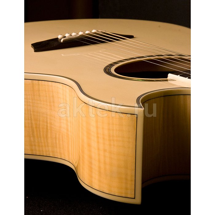 Электроакустическая гитара Washburn EA20 3