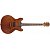 Полуакустическая электрогитара Washburn HB32DM