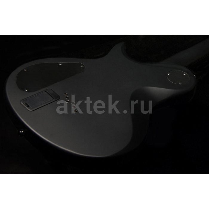 Электрогитара Washburn PXL10EC 5