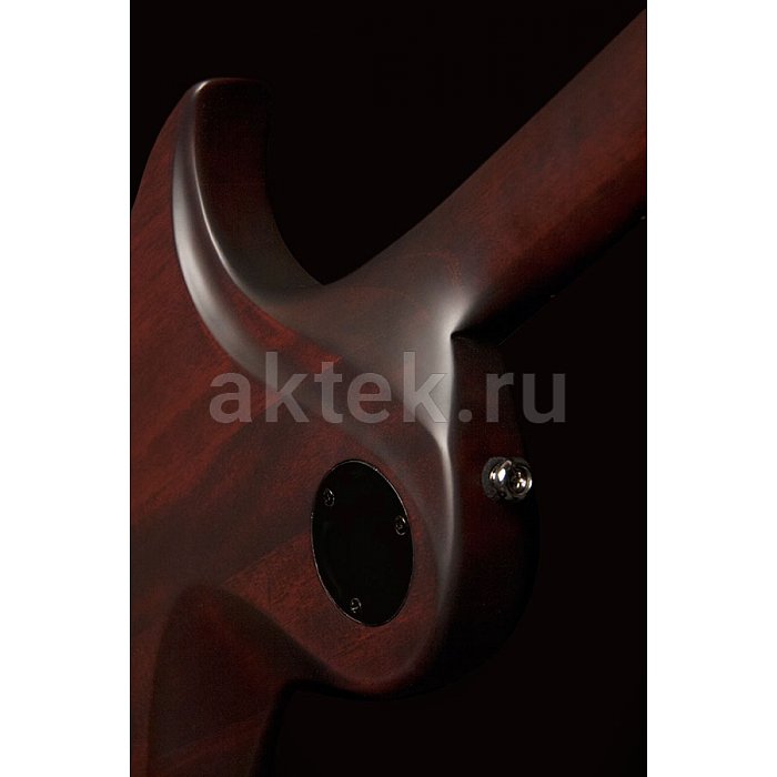 Электрогитара Washburn PXL10WA 4