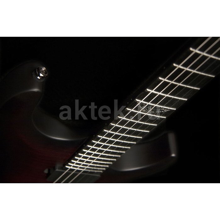 Электрогитара Washburn PXM20FRFBCBM 4
