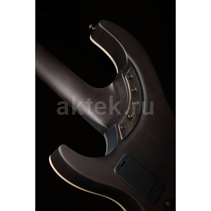 Электрогитара Washburn PXS10EDLXTBM 5