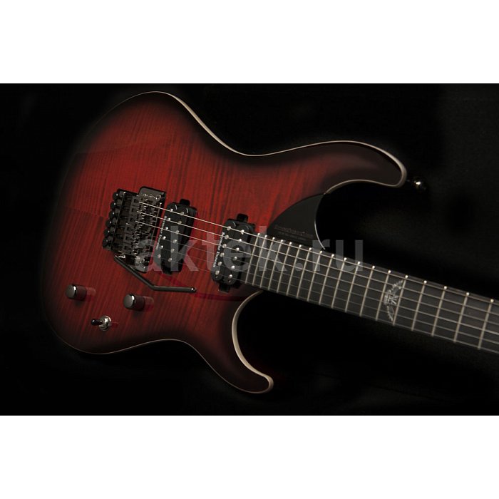 Электрогитара Washburn PXS10FRDLXWB 4