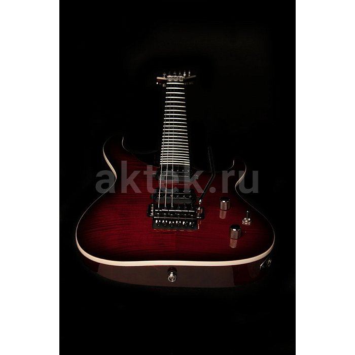 Электрогитара Washburn PXS10FRDLXWB 6