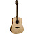 Акустическая гитара Washburn WD015S