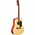 Акустическая гитара WASHBURN WD10S12