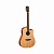 Гитара электроакустическая WASHBURN WD150SWCE