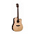 Гитара электроакустическая WASHBURN WD250SWCE