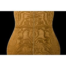 Акустическая гитара Washburn WD30S 2
