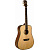 Акустическая гитара Washburn WD35S
