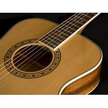 Акустическая гитара Washburn WF11S 3