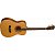 Акустическая гитара Washburn WF11S