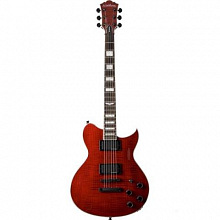 Электрогитара Washburn WI320PROFTB 2