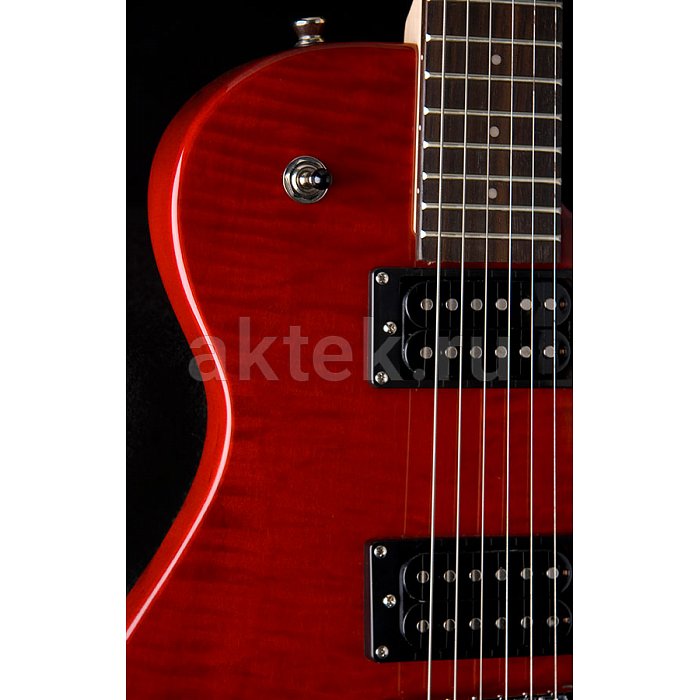 Электрогитара Washburn WIN14FTR 2