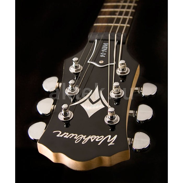 Электрогитара Washburn WIN14FTR 3