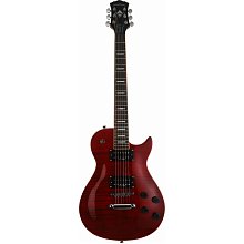 Электрогитара Washburn WINPRO