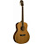 Акустическая гитара Washburn WMJ11S