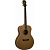 Акустическая гитара Washburn WMJ21S