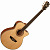 Электроакустическая гитара Washburn WMJ21SCE