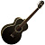 Washburn WMJ5SB