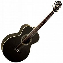 Washburn WMJ5SB