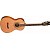 Акустическая гитара Washburn WP11SNS