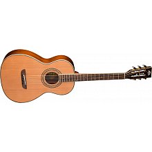 Акустическая гитара Washburn WP11SNS