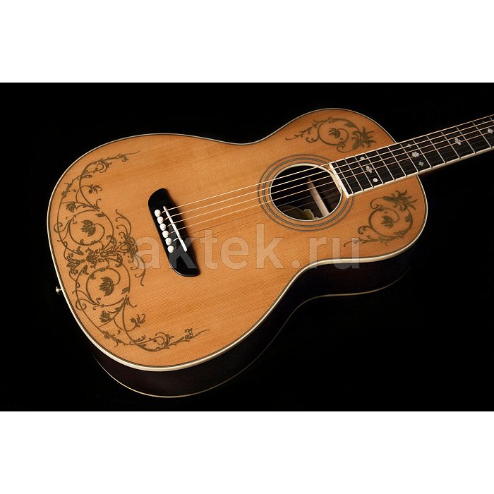 Акустическая гитара Washburn WP5234S 2