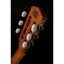 Акустическая гитара Washburn WP5234S 3