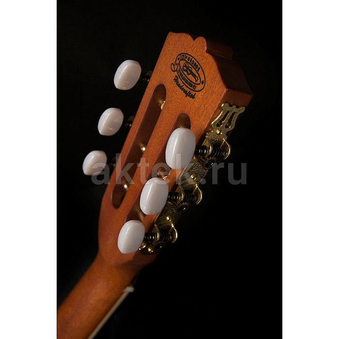 Акустическая гитара Washburn WP5234S 3
