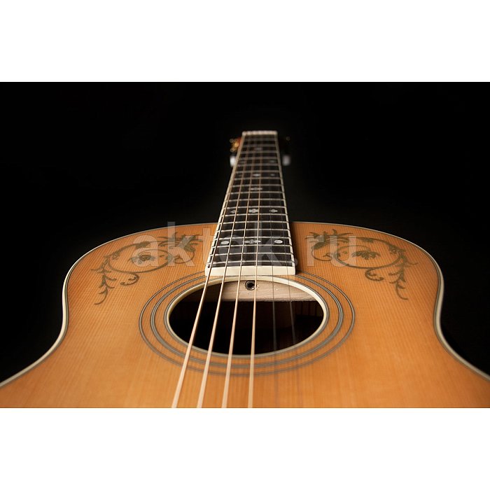 Акустическая гитара Washburn WP5234S 4