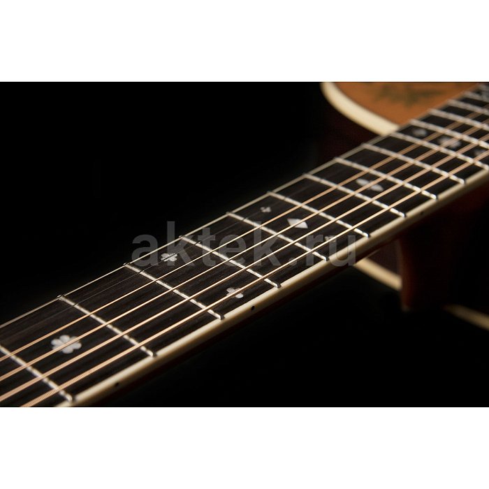Акустическая гитара Washburn WP5234S 6