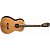 Акустическая гитара Washburn WP5234S