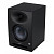 Студийный монитор PreSonus Eris Studio 5 mk2