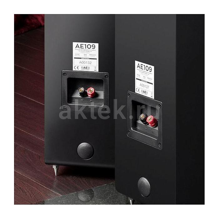 Напольная акустическая система Acoustic Energy 109 черный 3