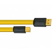 Кабель USB Wireworld Chroma 8 USB 2.0 A-B - 3 метра 2