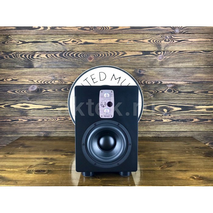 Студийный сабвуфер Eve Audio TS107 8