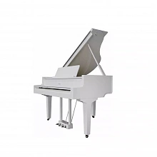 Roland GP 9 PW цифровое пианино, 88 клавиш, 324 тембра 2