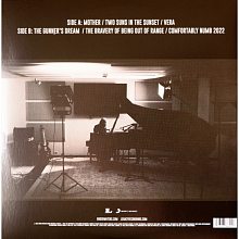 Виниловая пластинка ROGER WATERS - THE LOCKDOWN SESSIONS 180 GRAM BLACK VINYL 12" 2
