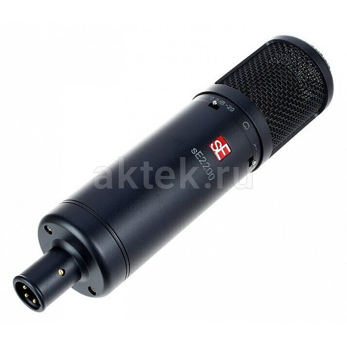 Студийный микрофон sE Electronics sE2200 10