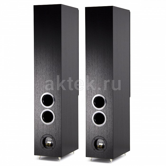 Напольная акустическая система Radiotehnika Vita 2.05 Black Ash 2