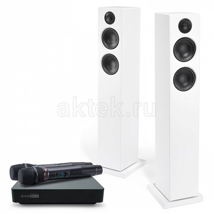Караоке система с микрофонами и акустикой Studio Evolution EVOBOX Premium+SE 200D+Audio Pro A38 white