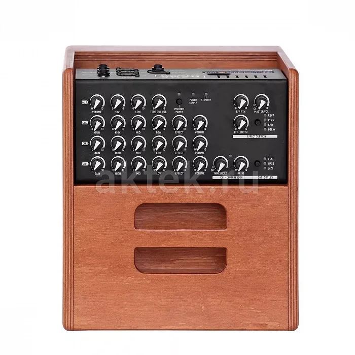 Acus One ForStrings 5Ferdi Wood акустический комбоусилитель 70 Вт, трёхканальный 2