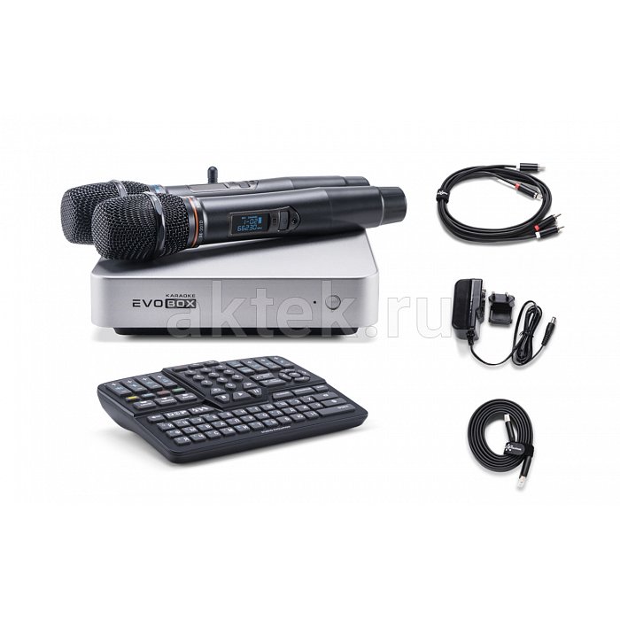 Профессиональное караоке с микрофонами и стереосистемой EVOBOX Classic + Sphere 2.1 Black 6