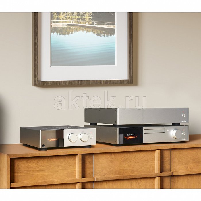AudioLab D9 Silver ЦАП 7
