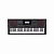 Casio CT-X5000 синтезатор с автоаккомпанементом, 235 стилей, микрофонный вход